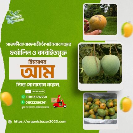 হিমসাগর আম সাতক্ষীরায়/রাজশাহী/চাঁপাইনবাবগঞ্জে
