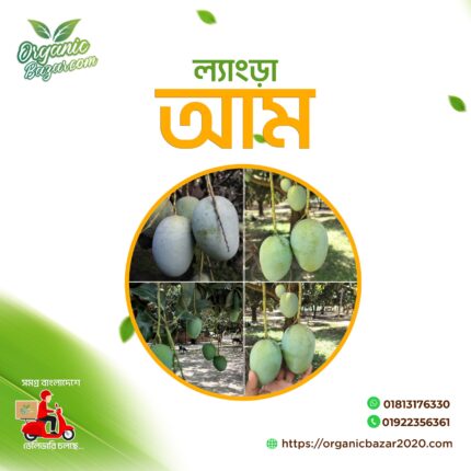 ল্যাংড়া আম সাতক্ষীরায়/রাজশাহী/চাঁপাইনবাবগঞ্জে