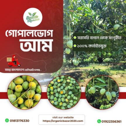 রাজশাহী/চাঁপাইনবাবগঞ্জে গোপালভোগ আম