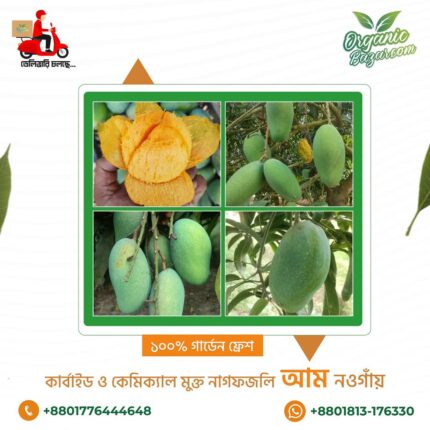 নাকফজলি নওগাঁয়